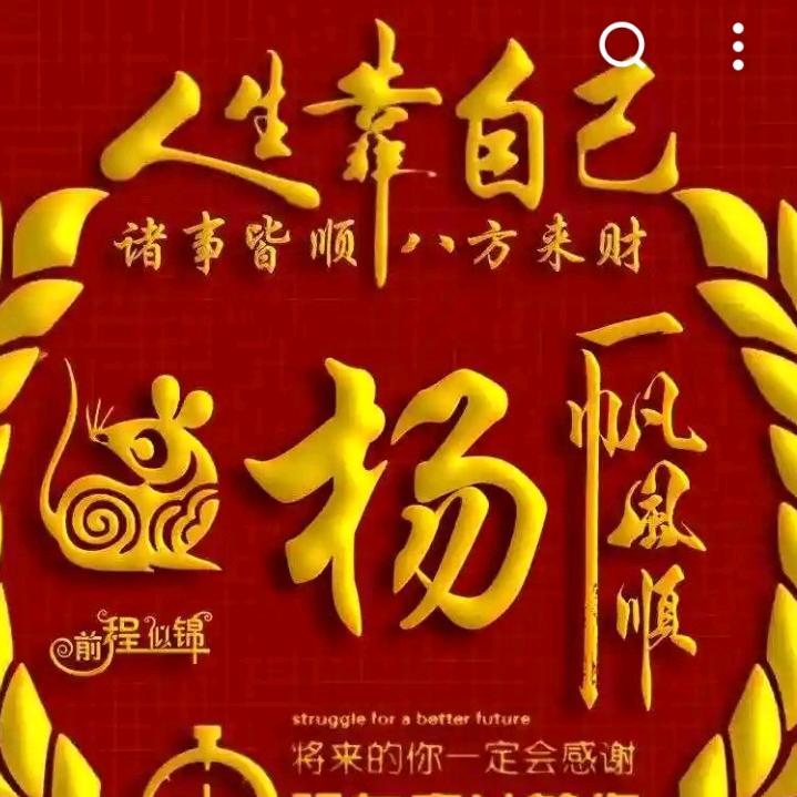 杨林听风