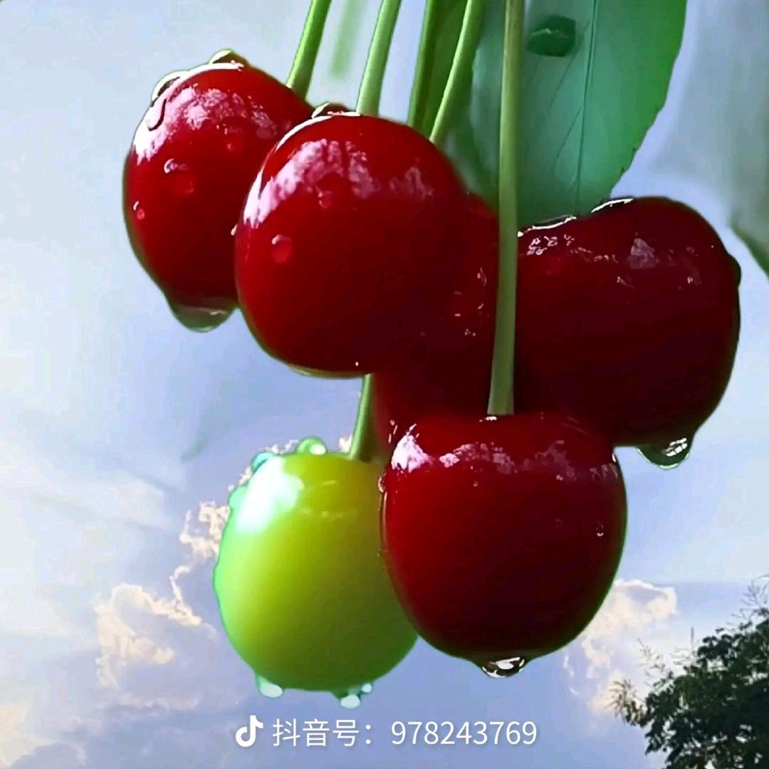 🍒