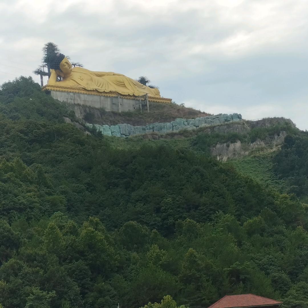 野马
