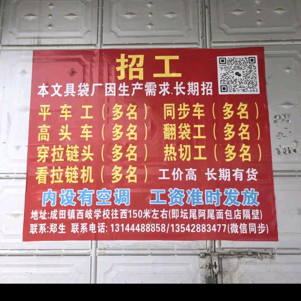 单身靠自己杨