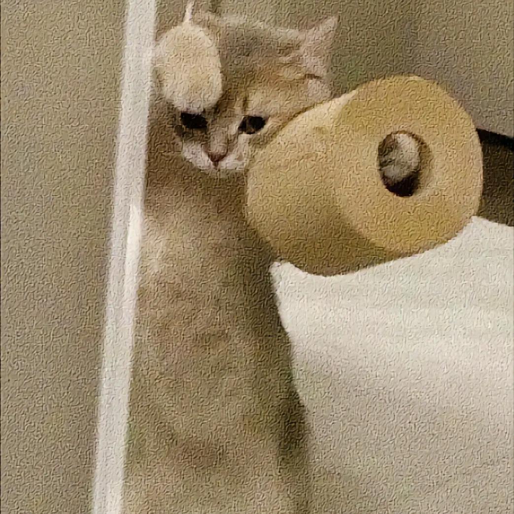 。。。。。。。。。。