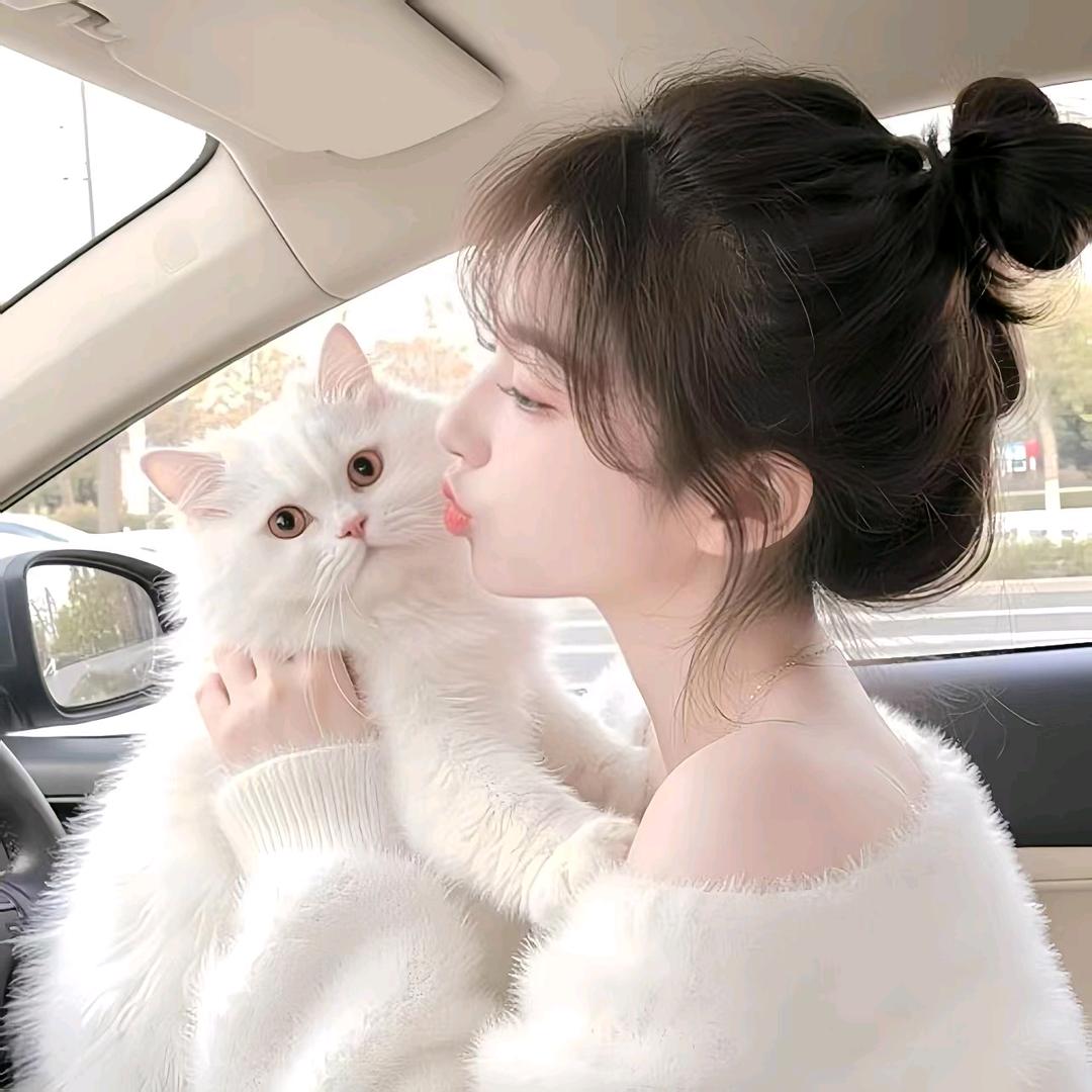 橘崽崽 🧡