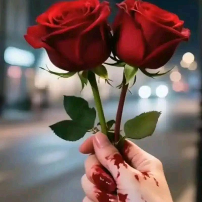 芷兰悠芳——爱音乐