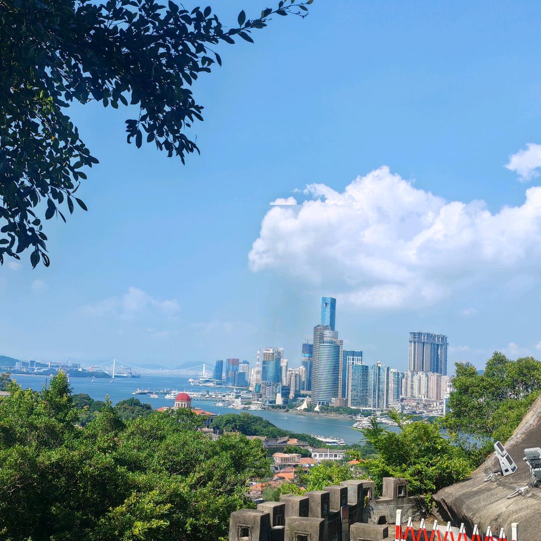 肥肥(新手坚持打卡版）