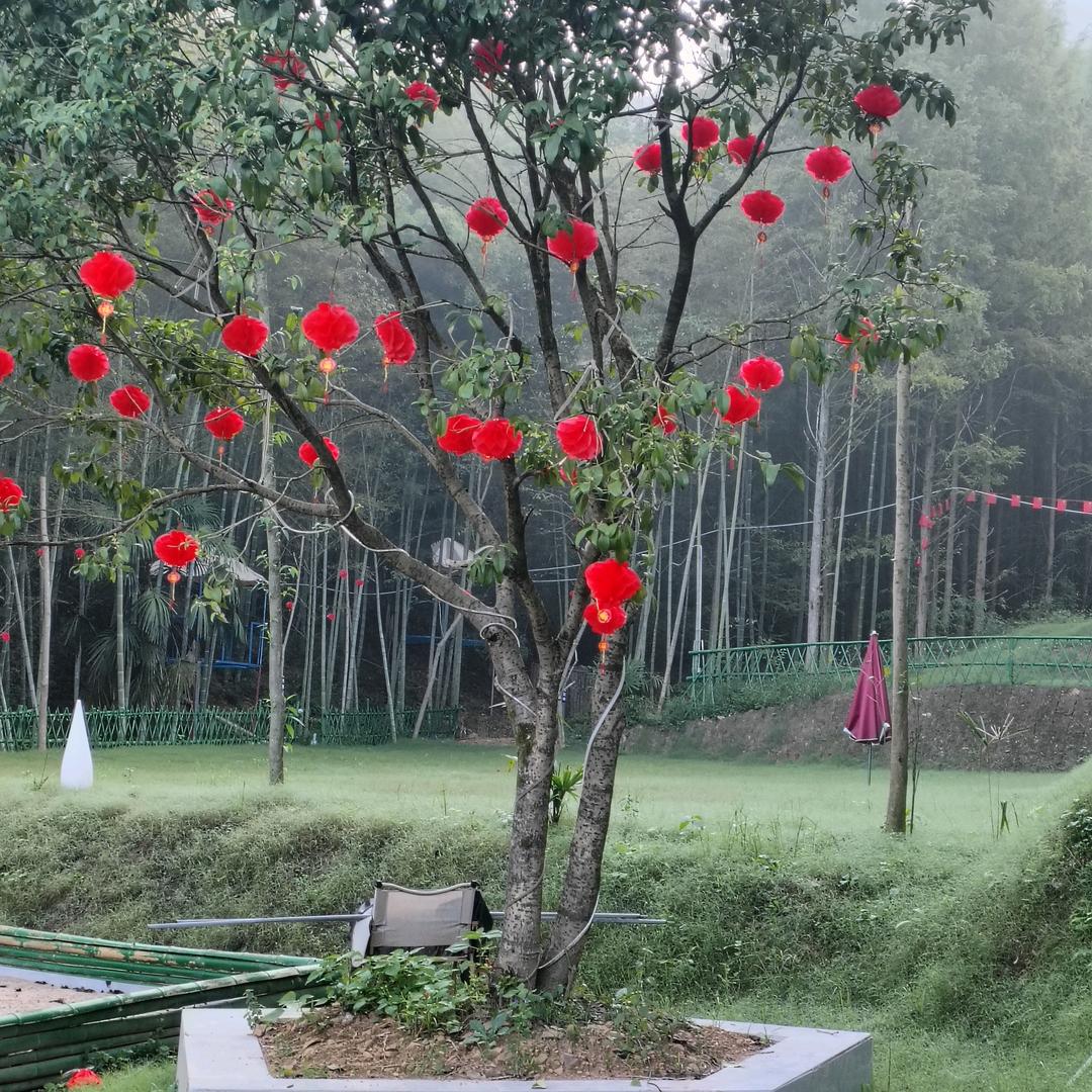 竹福山野营地