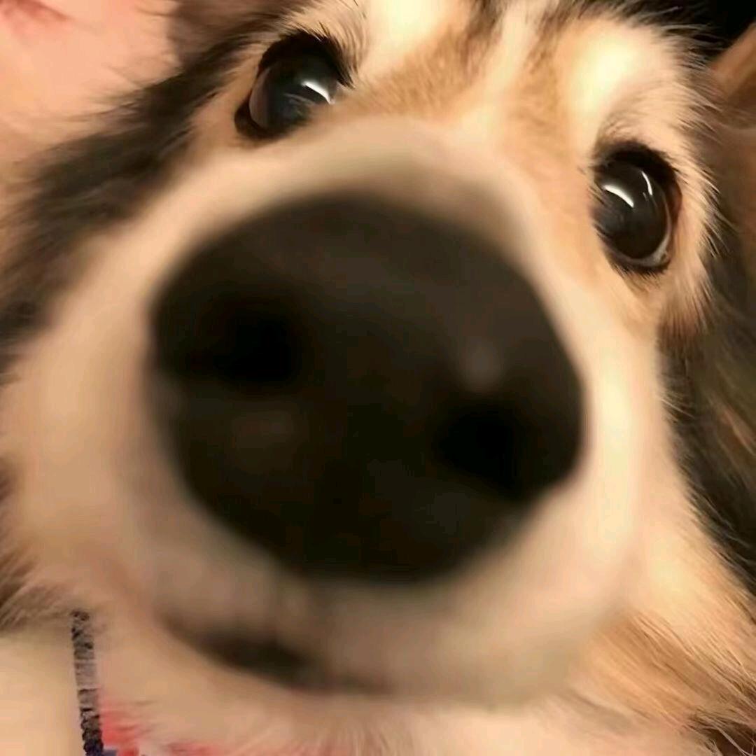 豪机攻略