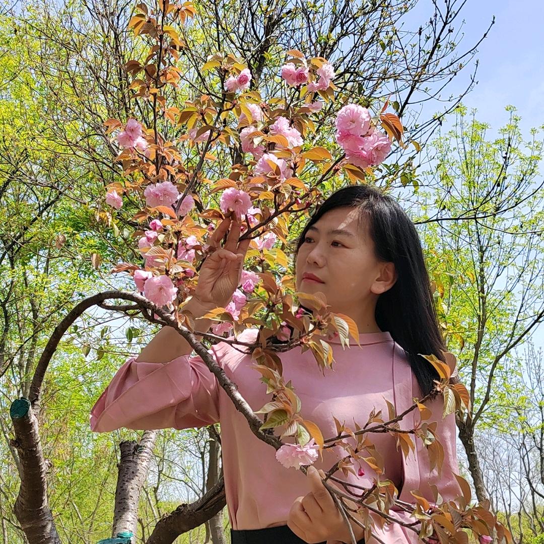 烟花（请不要连赞）