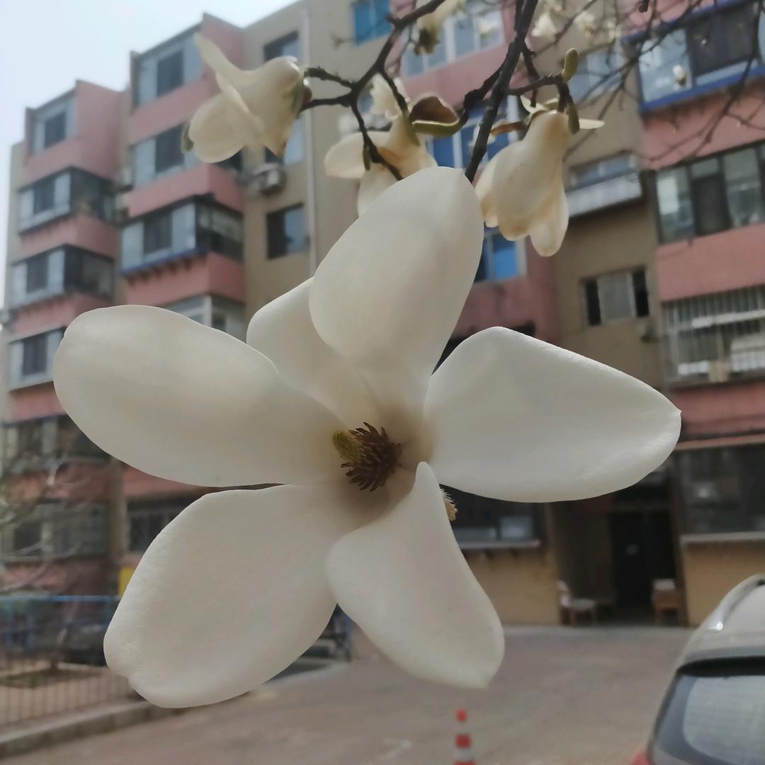 ✺◟(∗❛ัᴗ❛ั∗)◞✺