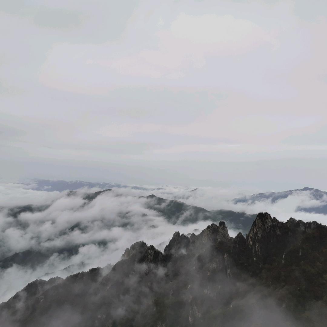 雷诺游泳运动