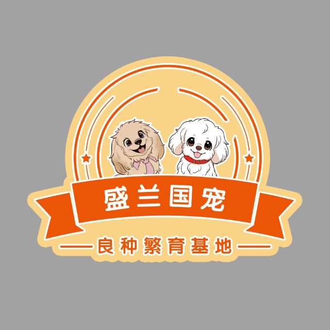 盛兰国宠～贝儿de 美卡犬