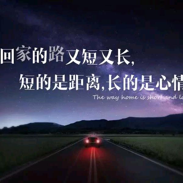 与狼共舞