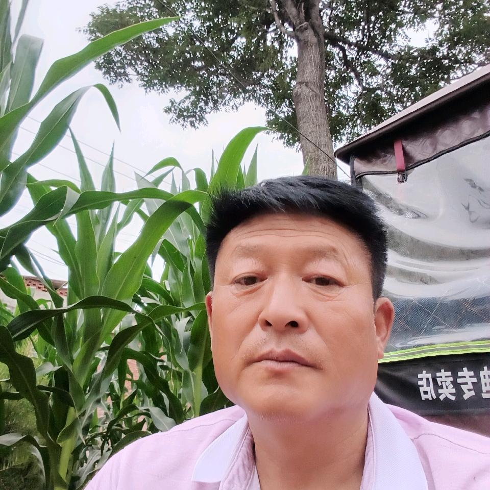 老董专业支线交