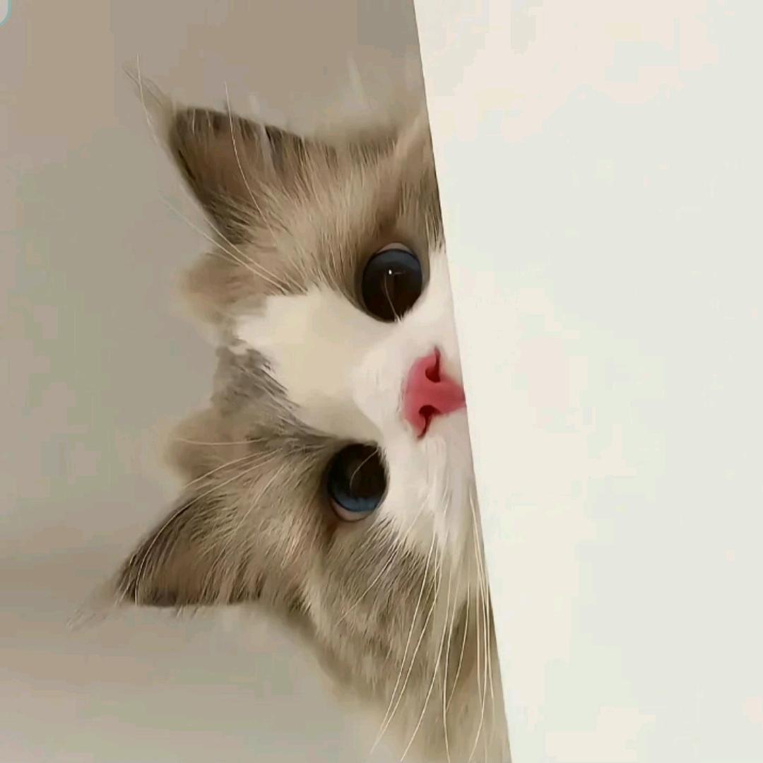月下