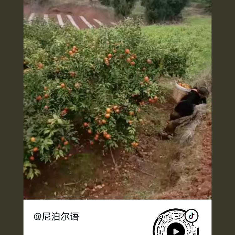 越南老挝语🇻🇳🇱🇦