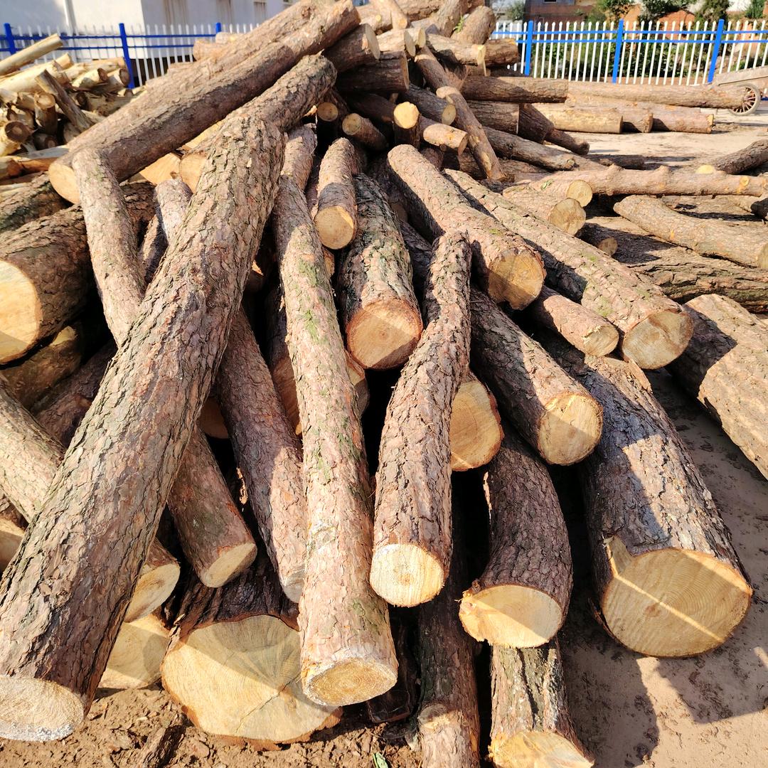 木材加工批发零售