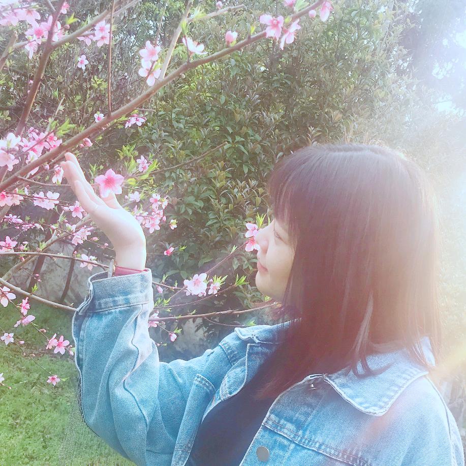 花开花开开