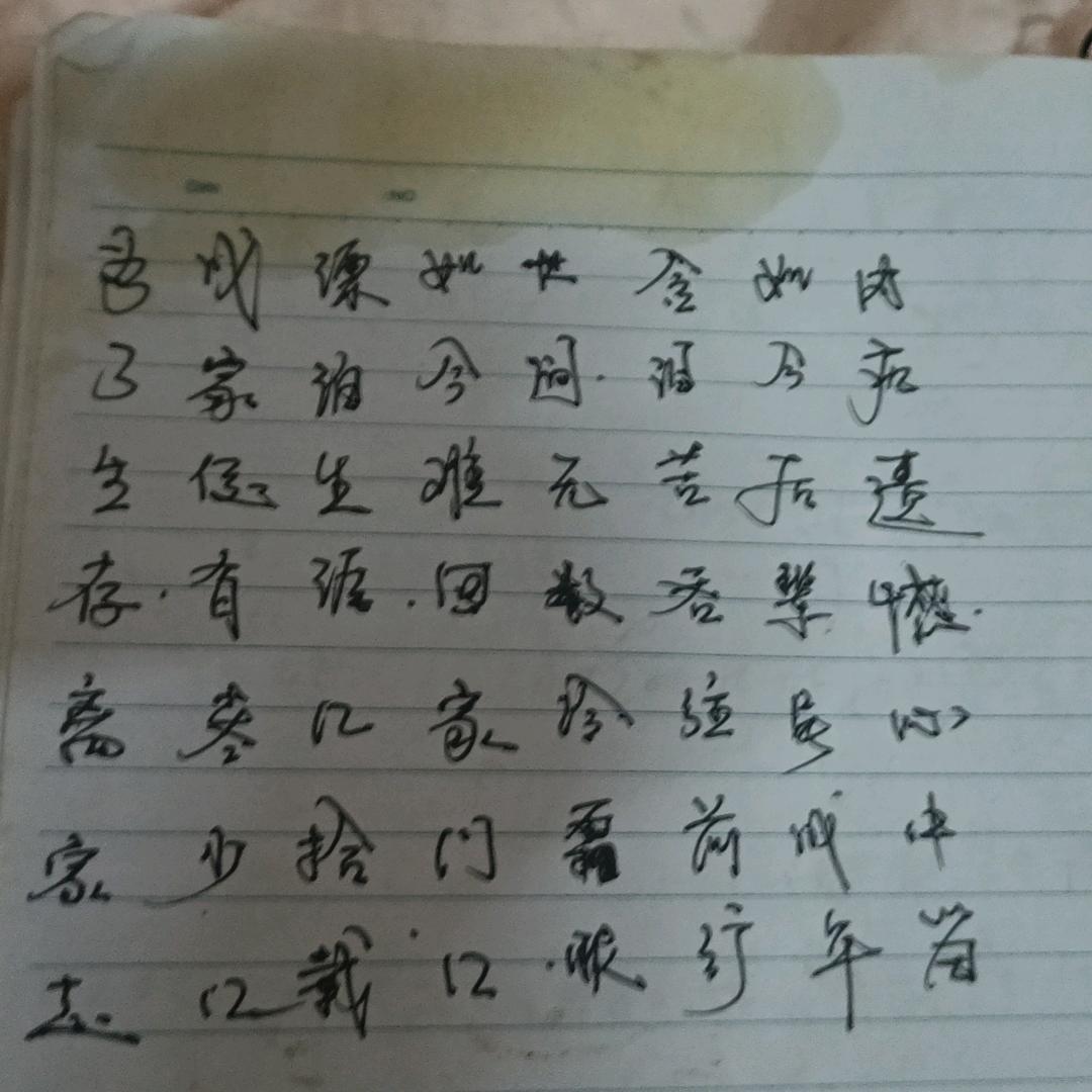 鼠