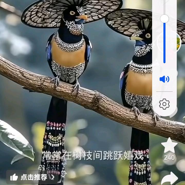 赵看你