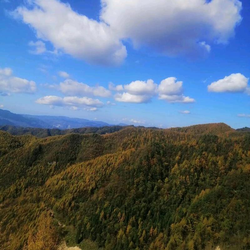 蜀涪山货