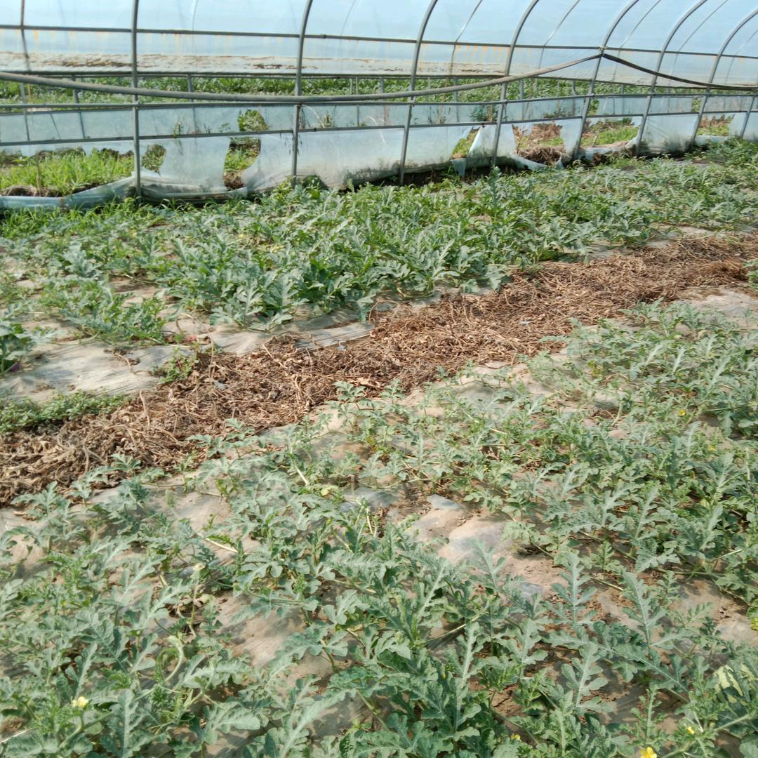 @留不住还是今天