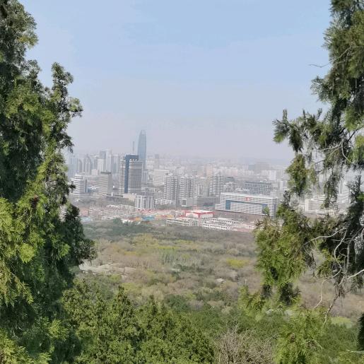 我的人生轨迹