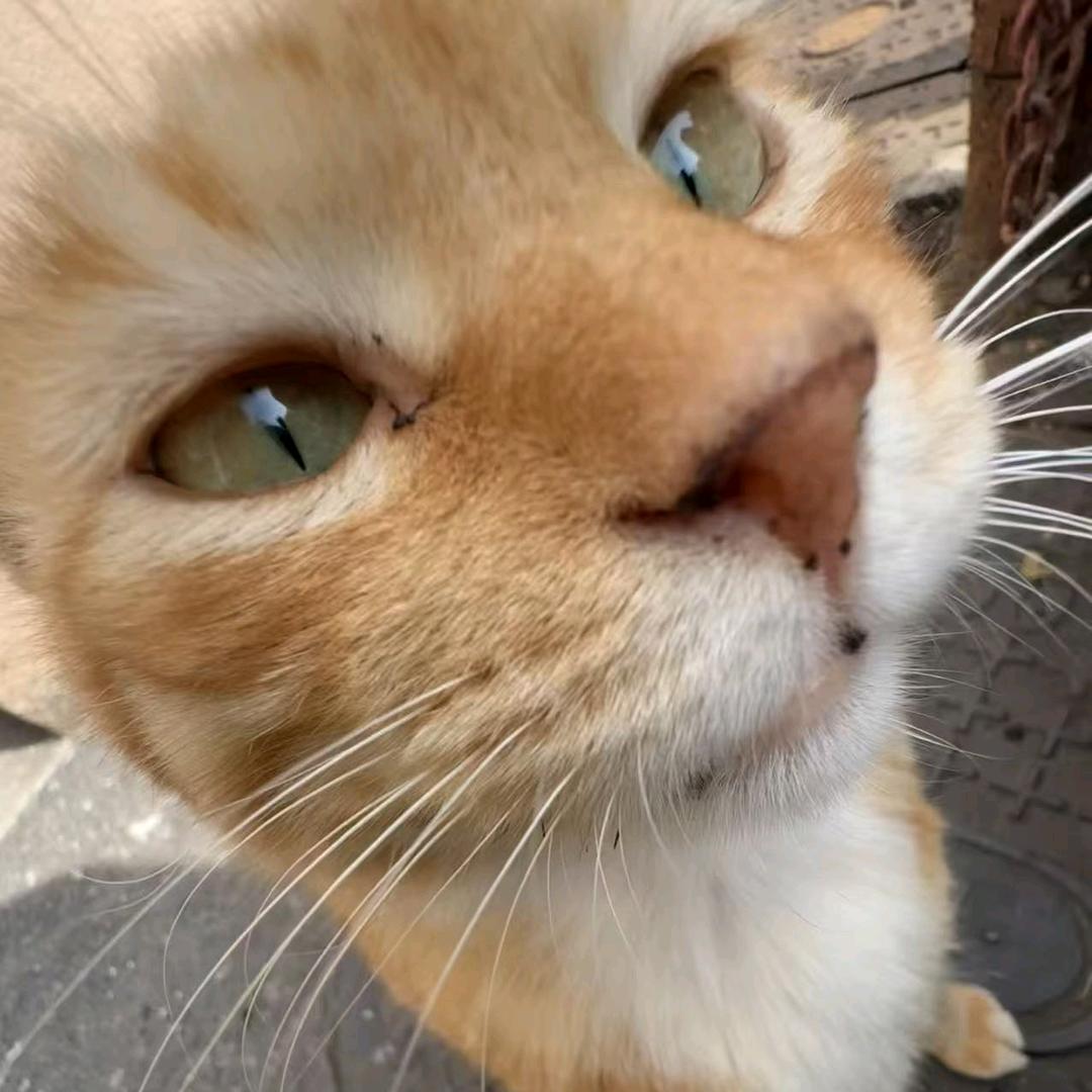 AAA鸭脖批发张老板