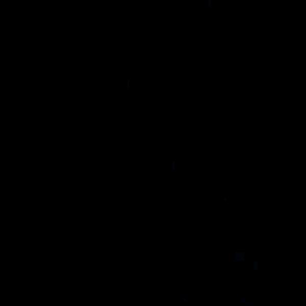 二少