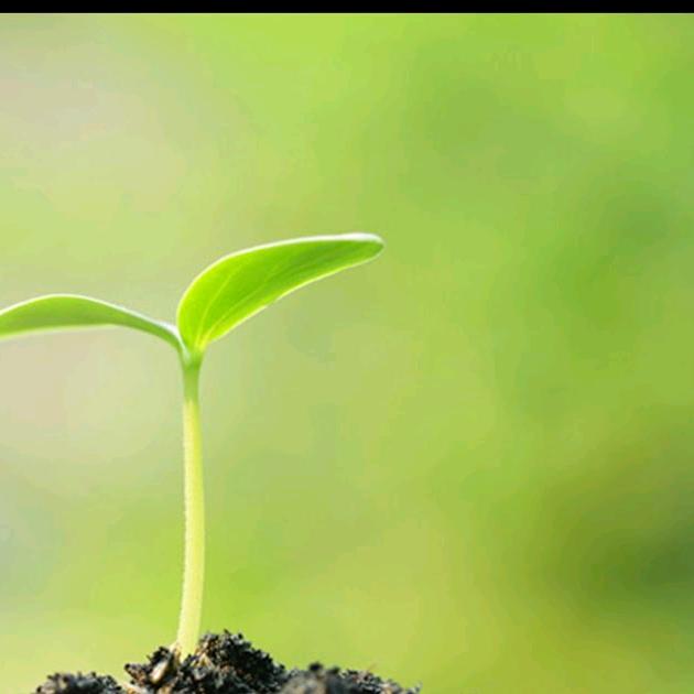 各各他爱分享