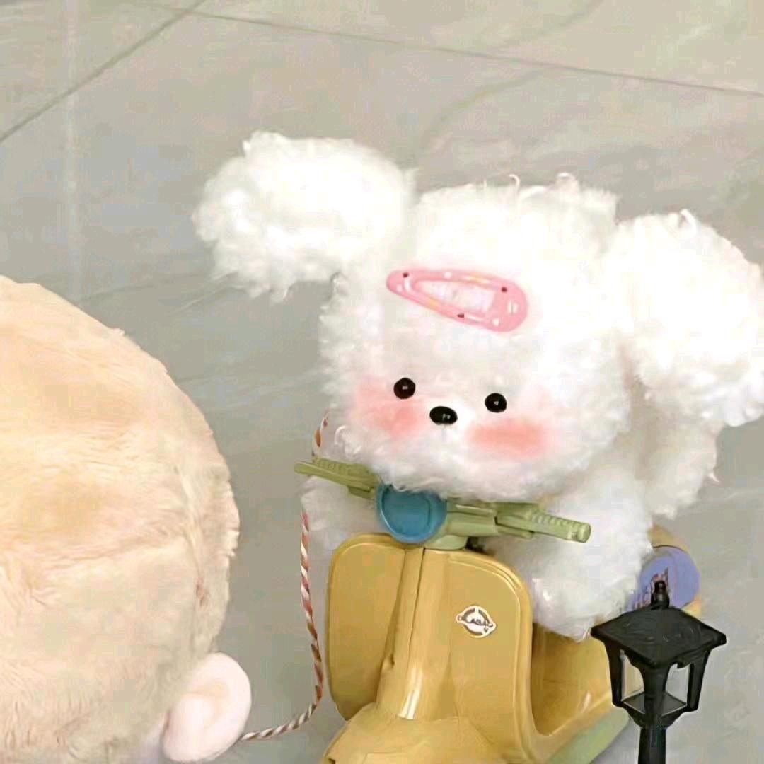 𝗞𝗶𝘁𝘁𝘆𝗹𝗶𝗶𝗼🎀