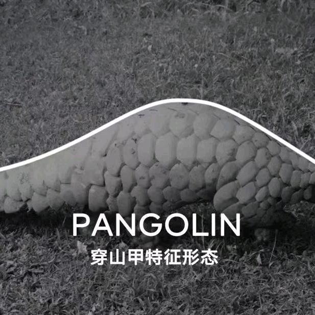 眼里@”