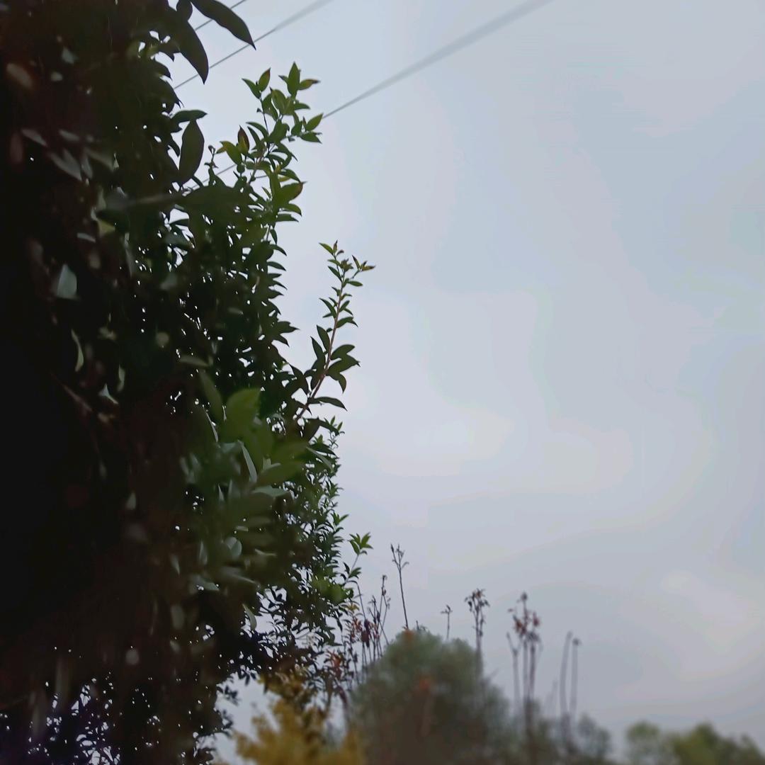 所有