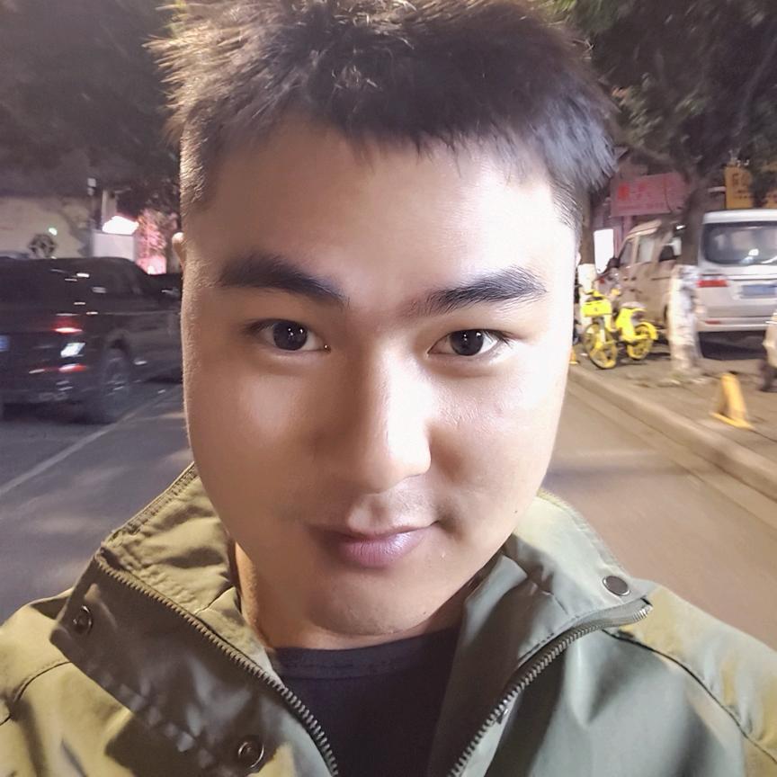 一只斑马兽