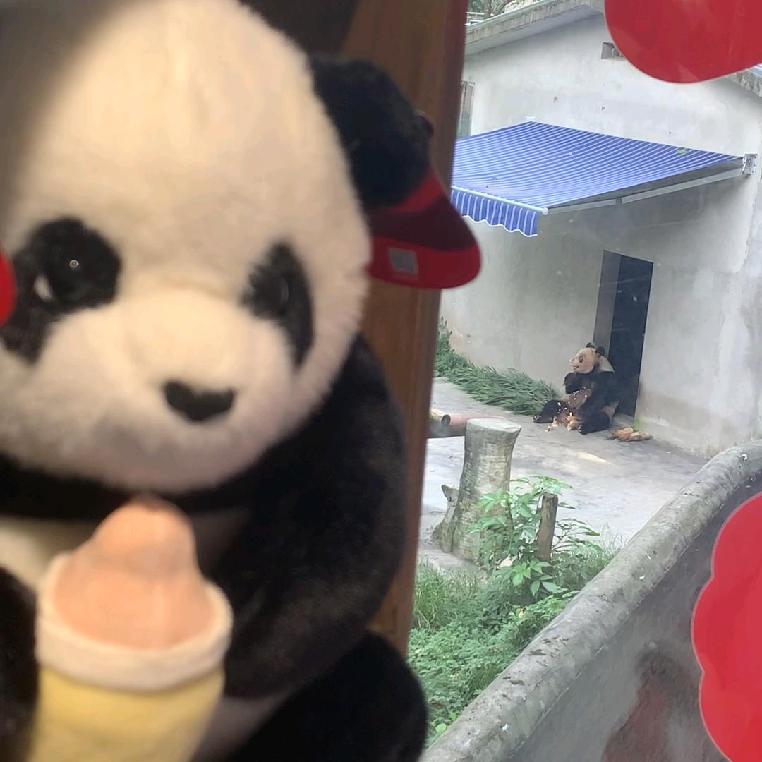 小哭包
