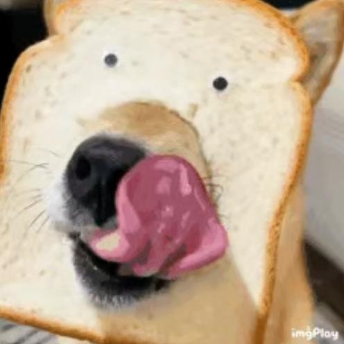 一条咸鱼的自我修养