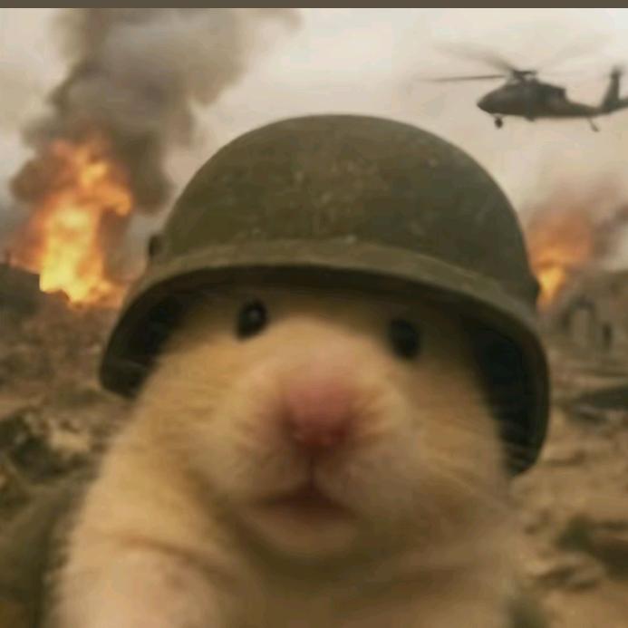 予初（等投喂）