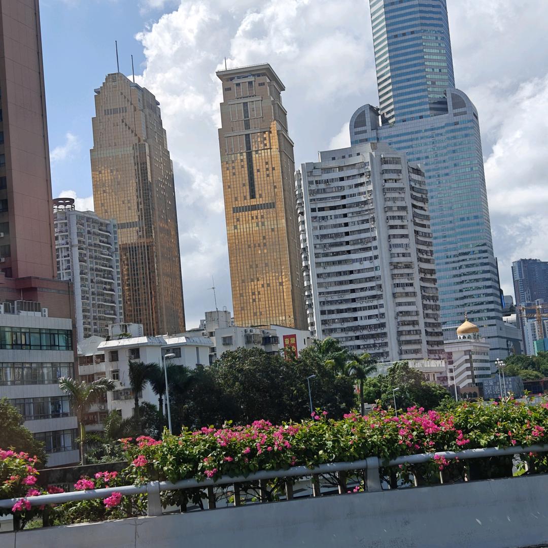 ꫛ꯭ོ飞🕊꯭᭄꯭飞ꦿོꦿ࿐