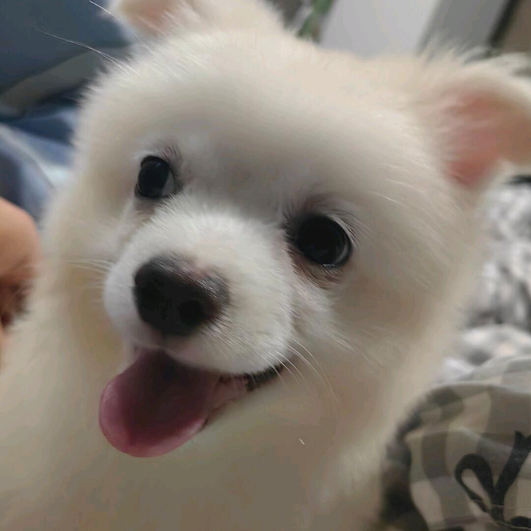 海天一色