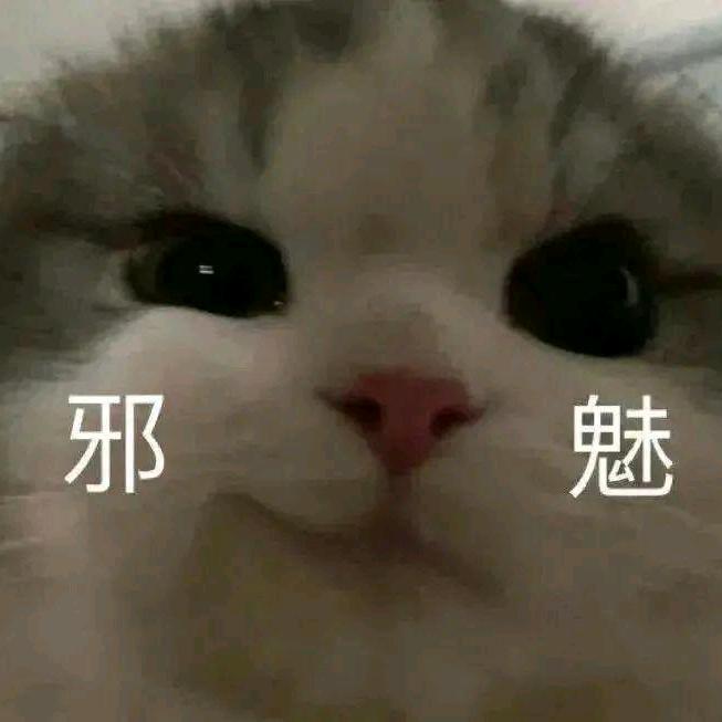 贫道跑跑