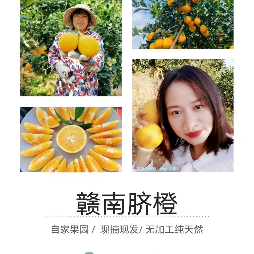 赣南脐橙-丁丁