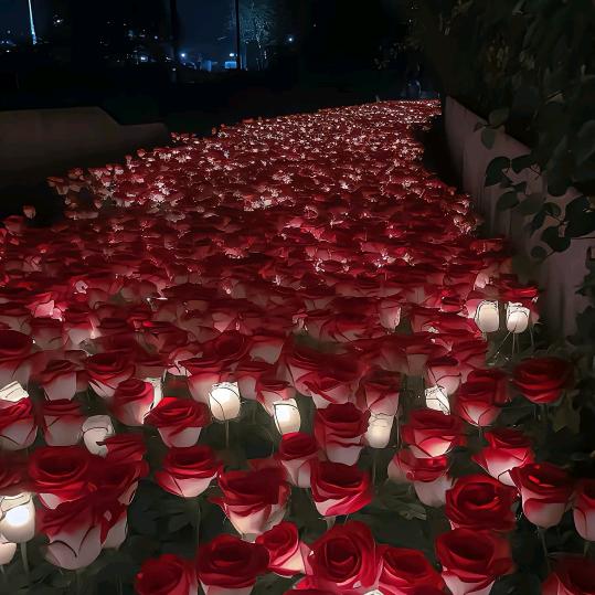 演好每一天 [发呆] 