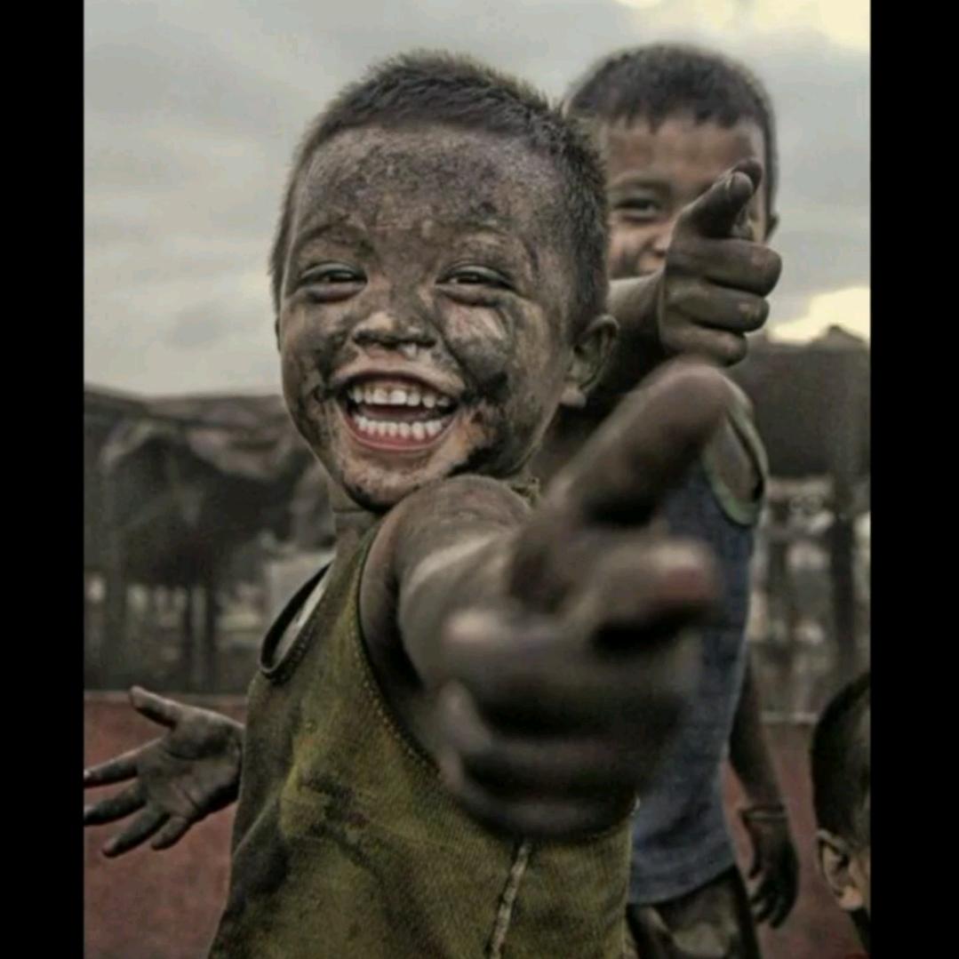 白茶清欢无别事