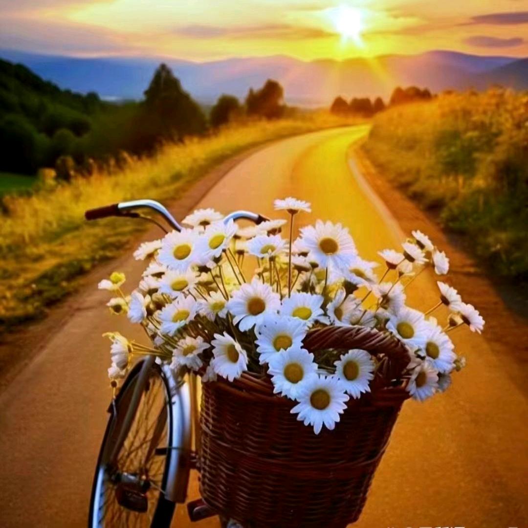 nazin  🧚‍♀️