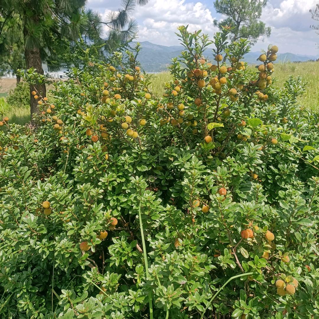 为了生活要拼搏