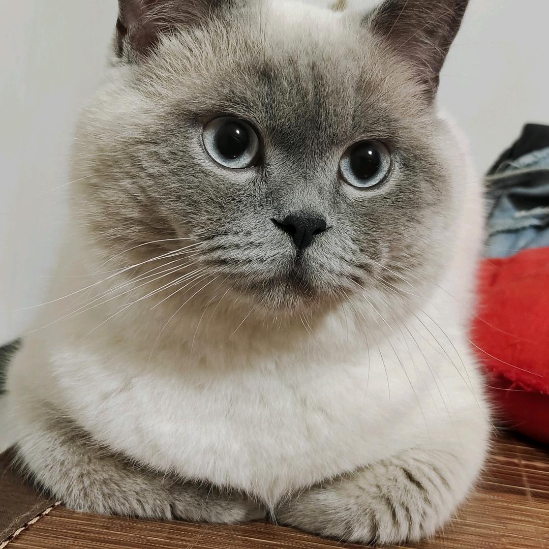 云