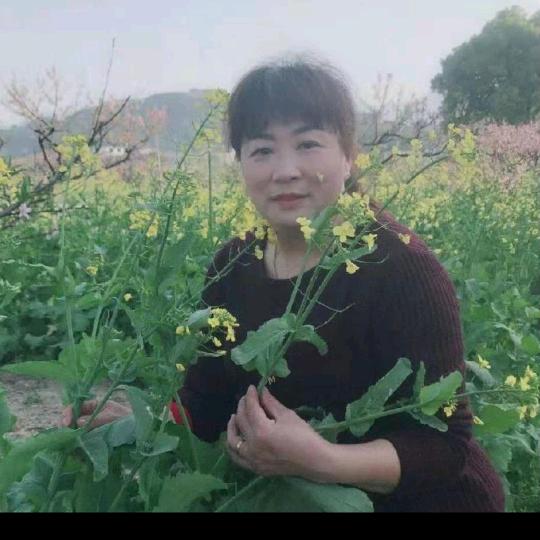 郑先生