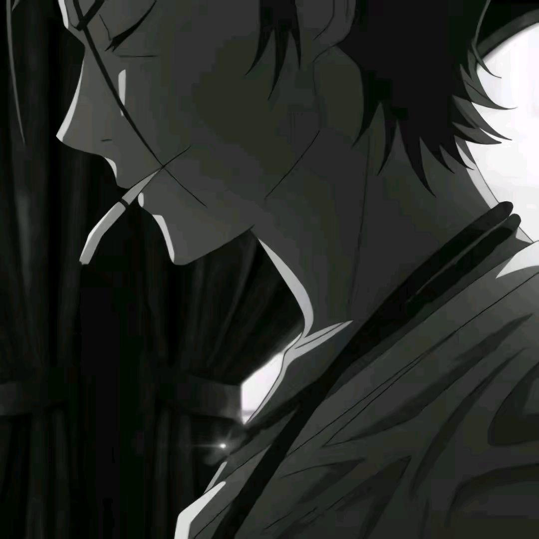 小杨没烦恼798