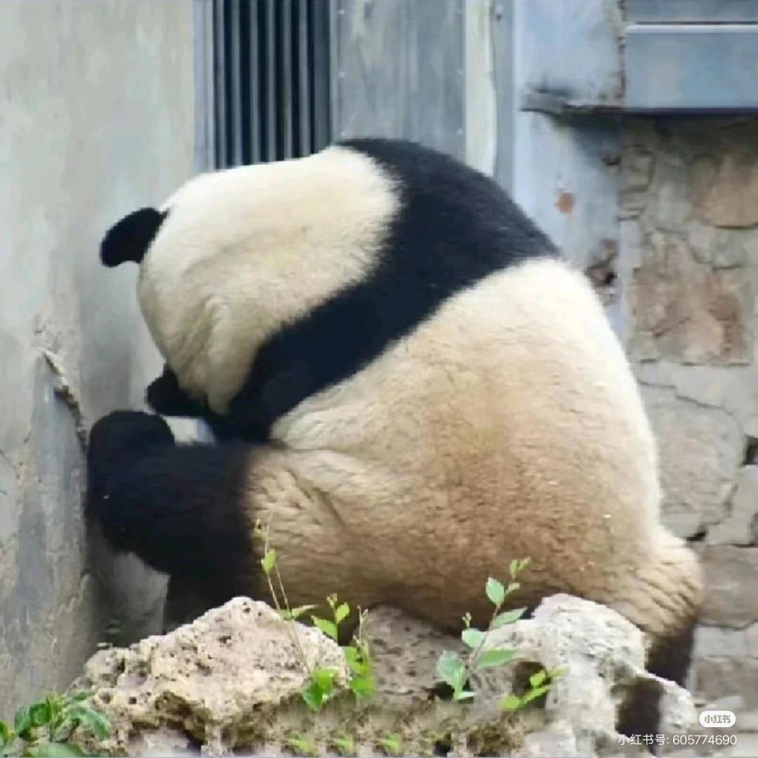 公考上岸通