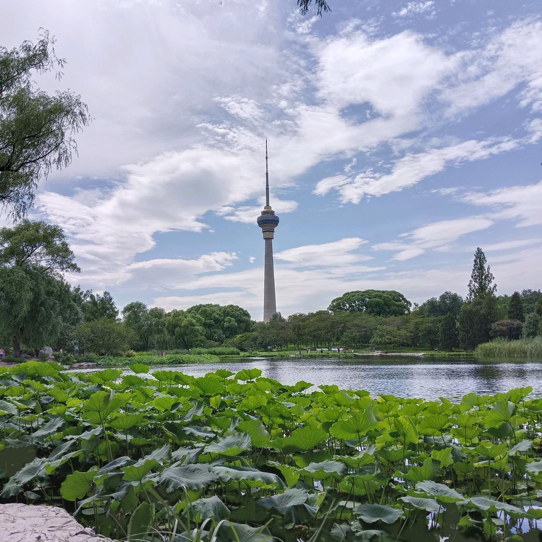 文 东