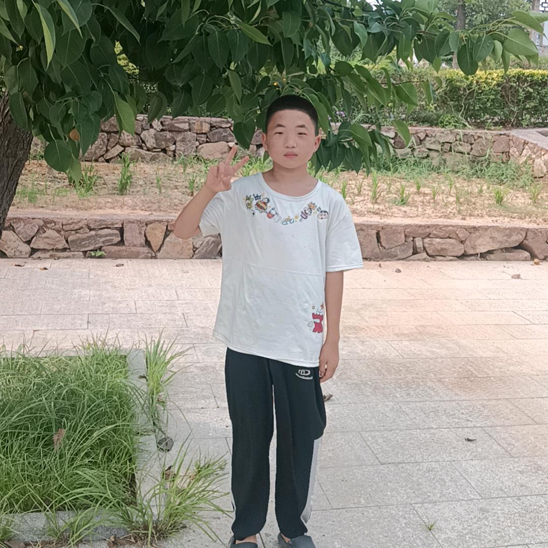 小马哥