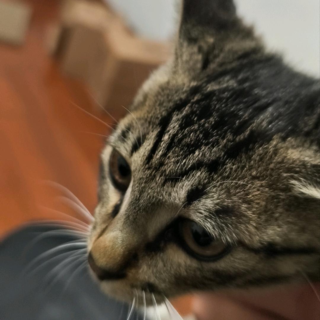暮邱
